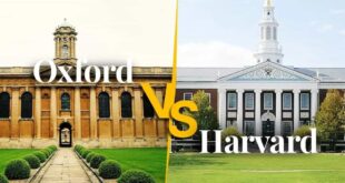 Oxford vs Harvard-min